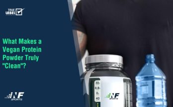 What Makes a Vegan Protein Powder In point of fact “Blank”? – Pointers & recommendation for residing healthiest lifestyles